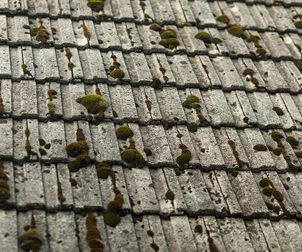 Nettoyage et demoussage de toiture à Rueil-Malmaison (92500) dans les Hauts de Seine (92).